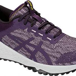 ASICS Women's Alpine XT Running Shoe, Astral/Night Shade