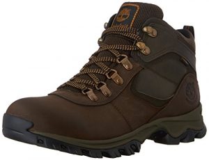 Timberland Men's Mt. Maddsen Hiker, Brown