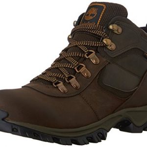 Timberland Men's Mt. Maddsen Hiker, Brown