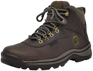 Timberland Men's White Ledge Mid Waterproof Boot,Dark Brown