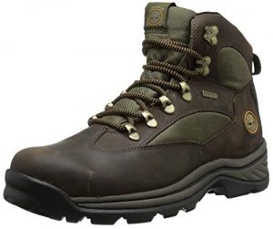 Timberland Men's Chocorua Trail Mid Waterproof Snow Shoe
