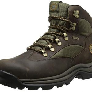 Timberland Men's Chocorua Trail Mid Waterproof Snow Shoe